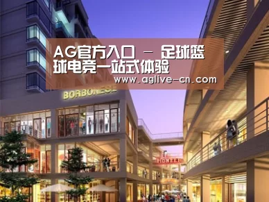 案例展示一