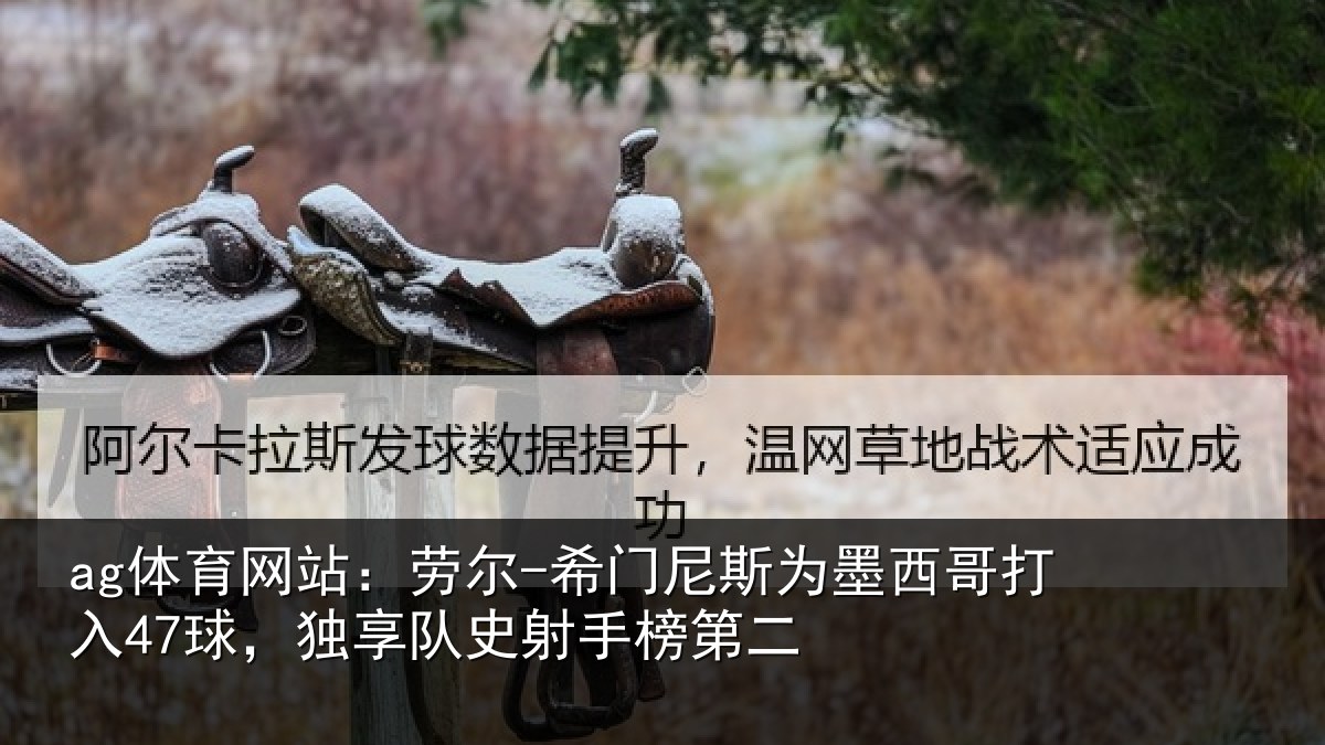 ag体育网站：劳尔-希门相关情况47球独相关情况