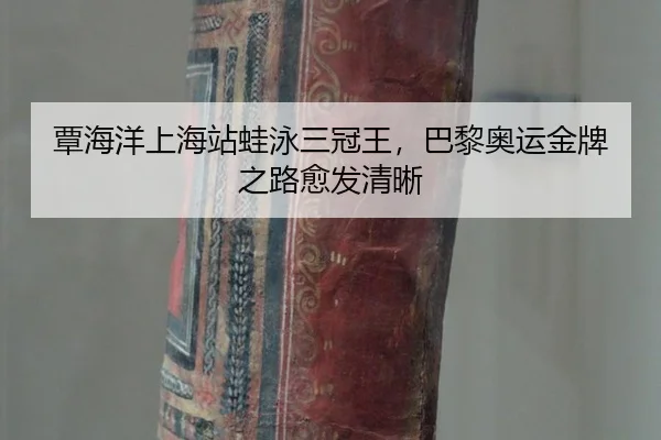 tan-hai-yang-shang-hai-zhan-wa-yong-san-guan-wang-ba-li-ao-yun-jin-pai-zhi-lu-yu-fa-qing-xi-3-550.jpg