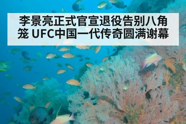 李景亮正式官宣退役告别八角笼 UFC中国一代传奇圆满谢幕