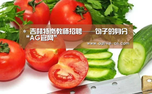 AG体育