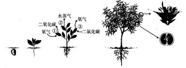 AG体育